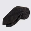 Italian Chocolate Grenadine Paisley Tie